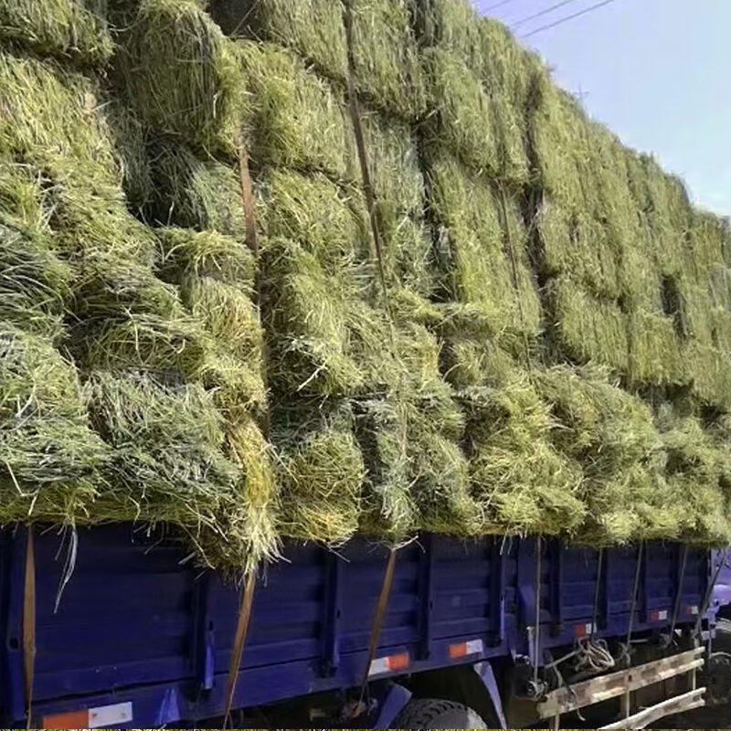 苜蓿草干草喂牛喂马吃的草料牛羊干草料羊驼草料羊草饲料10kg