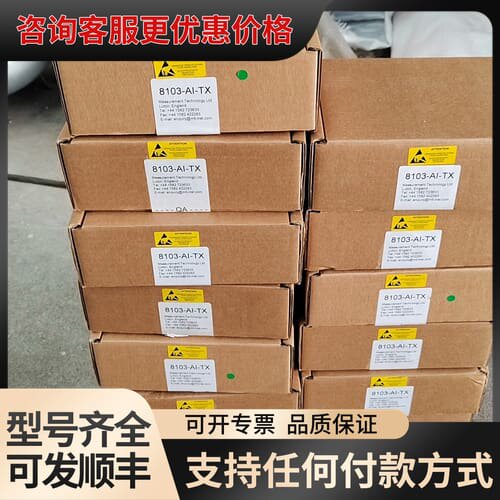 模块8103-AI-TX GE通用电气模块 实物图