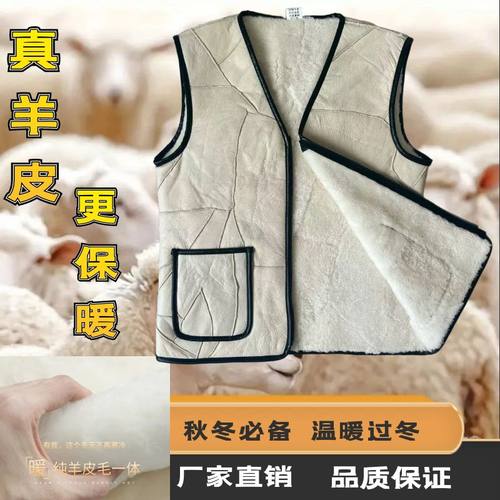 羊毛马甲男保暖背心羊皮秋冬季