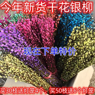 干花银柳鲜枝年宵花卉银柳干花干放可水养彩柳枝条新年真花银柳