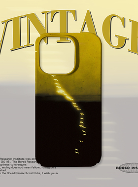 复古天空鸽子黄昏小众艺术潮流适用于苹果IPhone15/14plus/13pro/12/11/16/16promax菲林磁吸手机壳IMD软壳