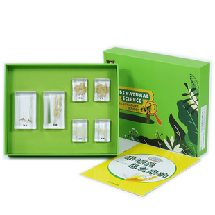 米饭是怎么来的植物种子标本幼儿园早教具儿童小学生科学实验玩具