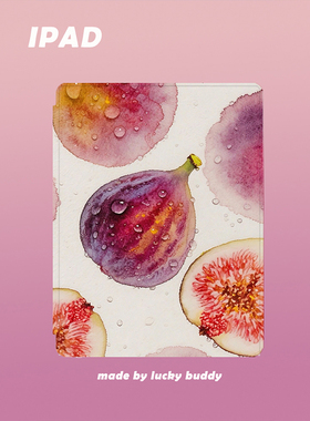 2025年13寸ipad保护套水彩风无花果原创适用苹果12.9Pro110.9.7air5mini610.5笔槽亚克力软硬壳磁吸360旋转
