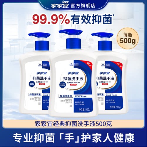 家家宜 健康抑菌洗手液500g瓶装清洁专用健康呵护温和清洁易冲洗
