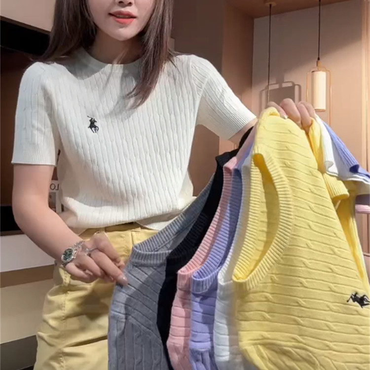 设计感软糯麻花刺绣小马T恤夏季2025新款百搭修身圆领短袖上衣女