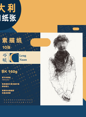 意大利飞碧纳进口冷暖素描纸