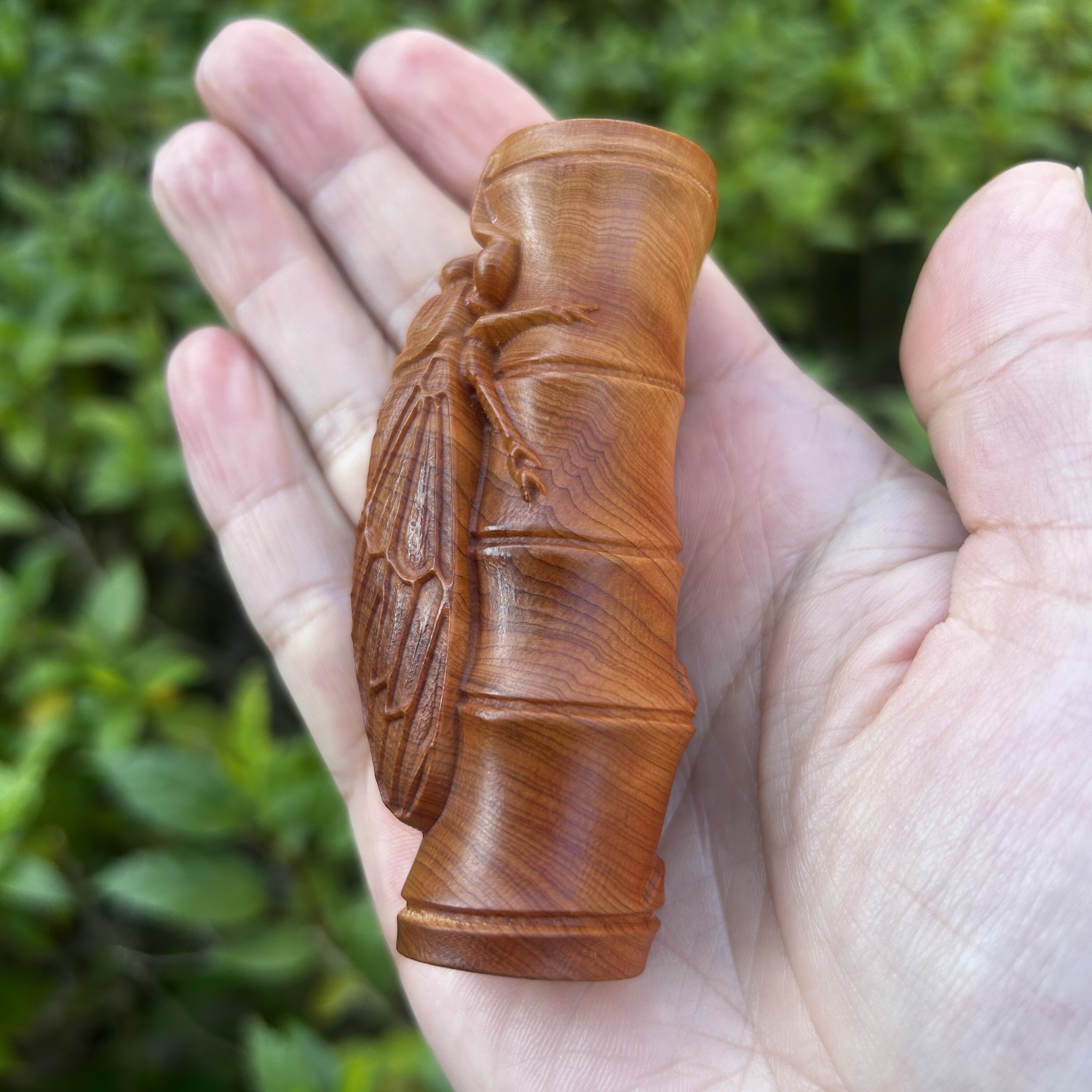 天然高油老料崖柏木雕刻一鸣惊人节节登高金蝉知了摆件文玩手把件