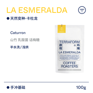 【Terraform】“豆种漫邮” 山竹 哥伦比亚Caturron半水洗咖啡豆