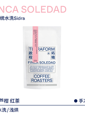 【Terraform】油桃 芦柑 厄瓜多尔索莱达水洗Sidra咖啡豆100g