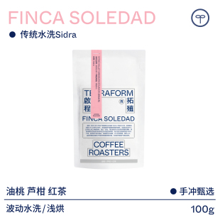 油桃 芦柑 厄瓜多尔索莱达水洗Sidra咖啡豆100g Terraform