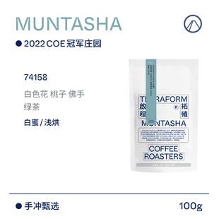 【Terraform】25产季空运批次 蒙塔莎厌氧日晒/白蜜/红蜜咖啡豆