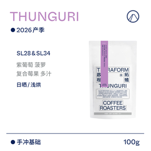 【Terraform】26产季空运批次 紫葡萄 肯尼亚SL28&SL34日晒咖啡豆