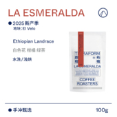 2025产季 Terraform 白色花橘子巴拿马翡翠原生种水洗咖啡豆