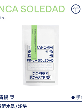 【Terraform】青提 厄瓜多尔索莱达Sidra双重发酵水洗咖啡豆100g