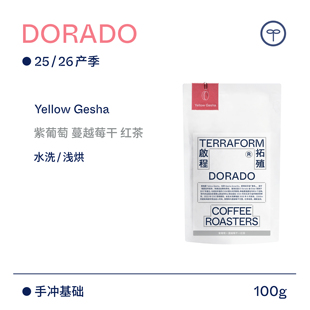 Terraform 豆种漫邮 厄瓜多尔黄瑰夏水洗咖啡豆 26产季