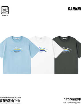 DK童装26夏款日系复古女男童短袖T恤儿童中大童趣味休闲半袖上衣