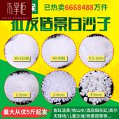 鱼缸造景沙子水族石底砂小白底沙白英砂铺面缸用卵石细沙石子灰