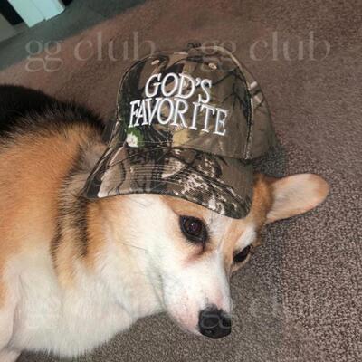 树枝立体刺绣印花鸭praying硬