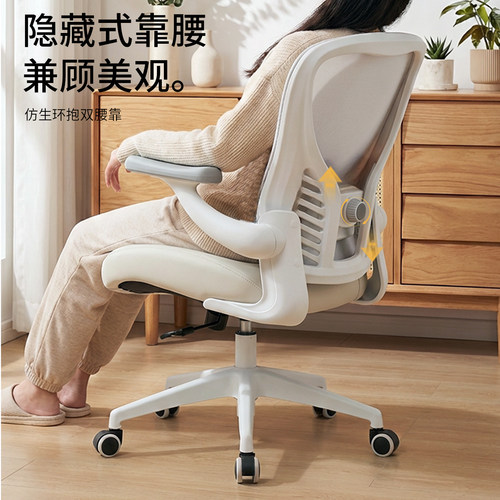 赛途电脑椅家用舒适久坐椅子靠背椅卧室书桌转椅人体工学办公坐椅