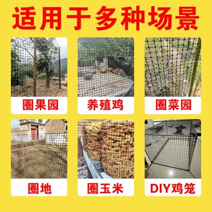 养鸡围栏网塑胶网格防护隔离养殖圈地菜园果园玉米大棚防鸟漏粪网