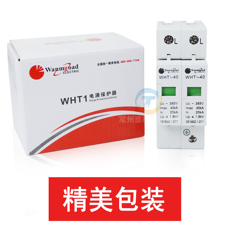220V浪涌保护器 防雷器 避雷器 SPD电涌保护器2P 40KA 家用型 2路