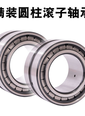 密封双列满装圆柱滚子轴承NNF5032 SL045032 NNF5034 SL045034 PP