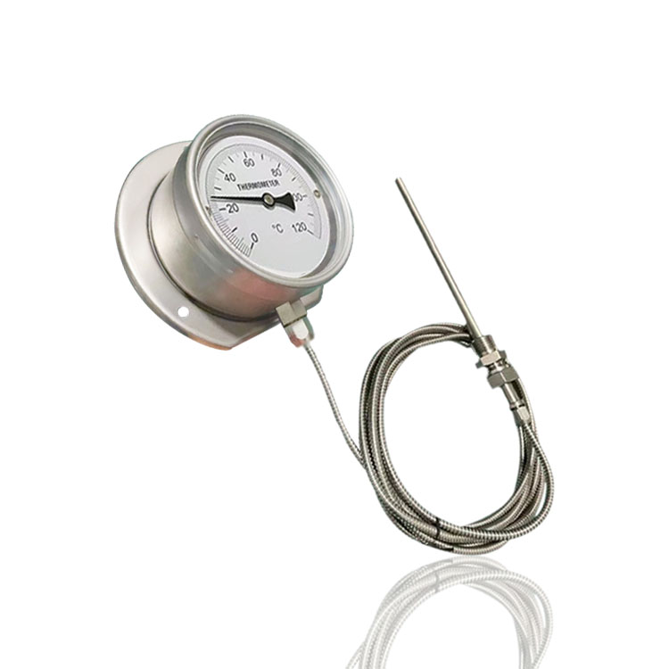 供全钢防腐型压力式j温度计毛细管温度表径向带後边WTZ-280 120