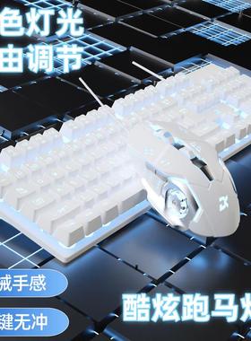 酷炫跑马灯有线键盘鼠标机械茶轴手感发光USB悬浮办公电竞通用