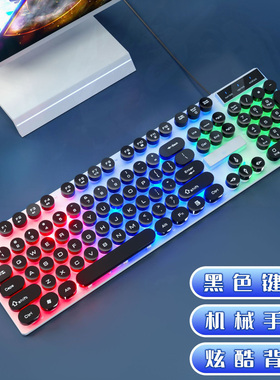 有线朋克台式电脑键盘鼠标套装机械手感家用办公吃鸡游戏笔记本