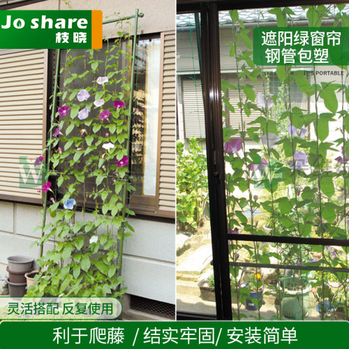 枝晓 绿窗帘 铁线莲葡萄黄瓜包塑管爬藤架阳台屋顶室外遮阳攀爬 - 封面
