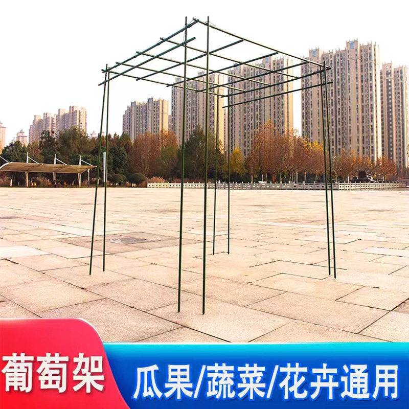 枝晓包塑钢管园艺支柱百香果
