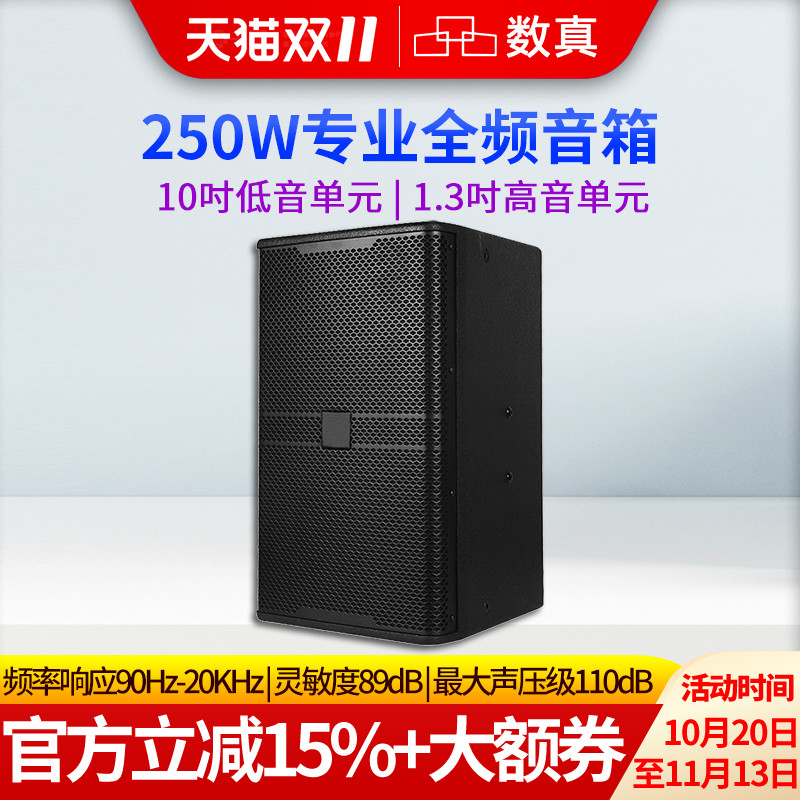 数真视频会议专业全频音箱10吋/12吋/15吋大功率250W300W500W会议室音响婚庆演出会议校园广播户外SZ-BT10