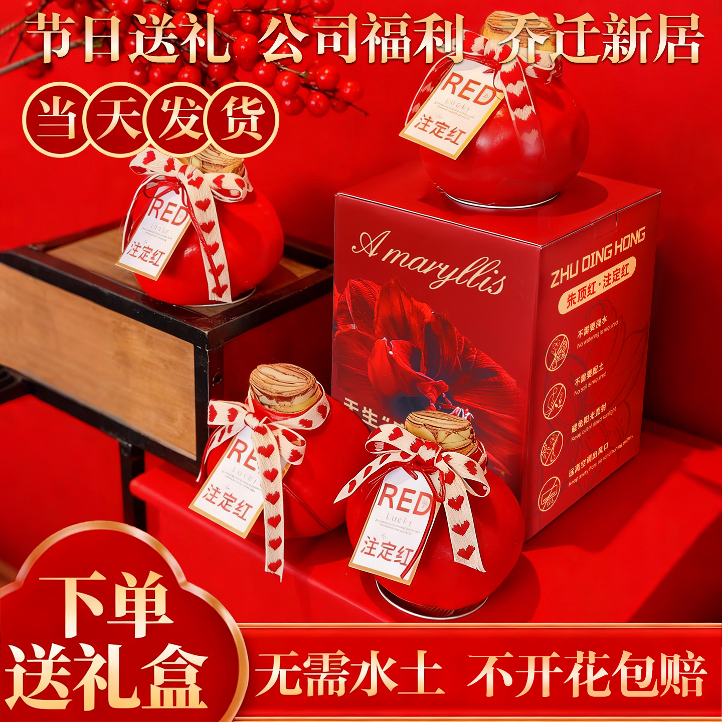 【平台推荐诚信卖家】朱顶红蜡球