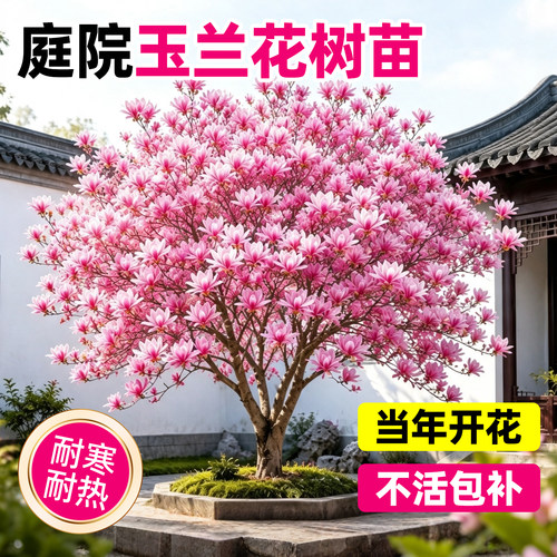 【全网花卉绿植热销10w+】