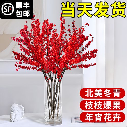 精品进口北美冬青云南鲜切水培