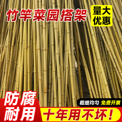 竹竿菜园搭架花园蔬菜架竹杆