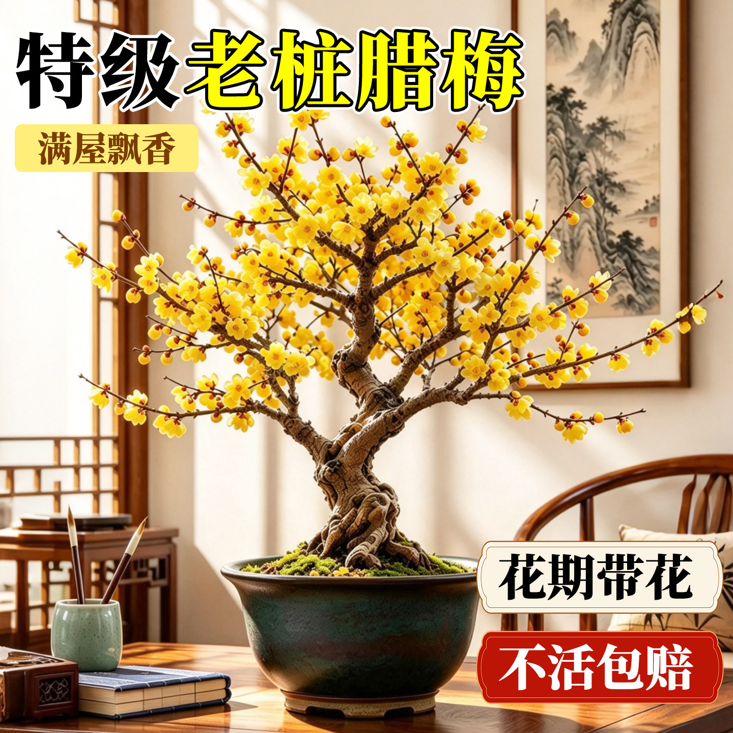 特级腊梅花浓香矮化老桩盆栽盆景耐寒花卉易活室内外阳台庭院树苗