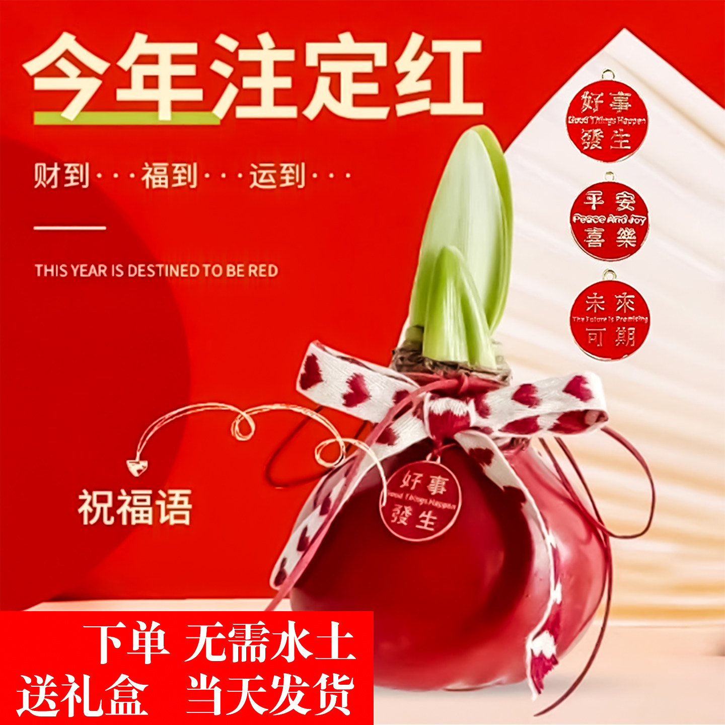 朱顶红蜡球精品重瓣种球进口蜡封无需水土养护懒人好养活刻字礼物,鲜花速递/花卉仿真/绿植园艺,造型盆景,淘宝优惠券,粉丝福利购,淘宝优惠卷