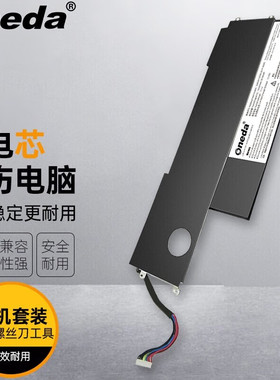 适用神舟飞天UI41BD3 UI41R D3 X300V UI41S D3 HXU411笔记本电池