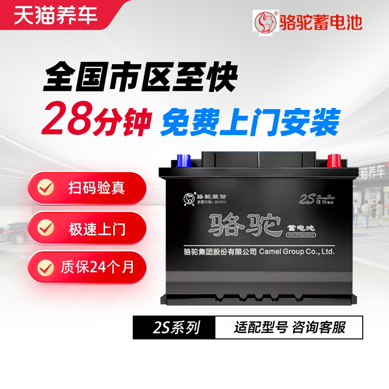 荣光鸿途洛基野马12v48ah蓄电池图片
