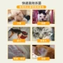 Pet khử trùng chó khử trùng trong nhà khử trùng khử trùng Wei có thể pet mèo khử trùng bột - Cat / Dog Medical Supplies Xi lanh tiêm thú y