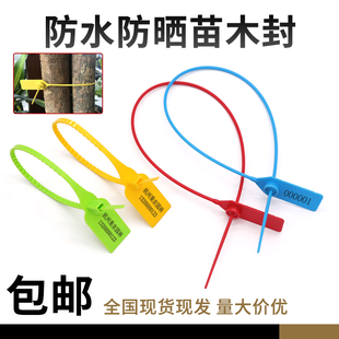一次性加长塑料封条园林苗木锁扣扎带号树锁标签物流号树扎带70CM