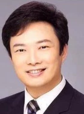 中年风男士大背头包邮真人假发