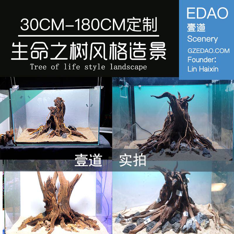 沉木中空树桩造景定制 壹道鱼缸造景 生命之树草缸造景沉木造景