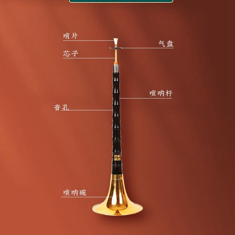 乐器大全唢呐初学者冷门简单易学小型吹奏类全套民族小众小号专业