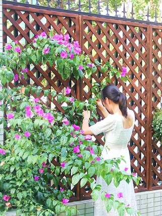养花木头围栏小篱栏笆防腐木花栅木质菜园子园艺装饰花格木围挡