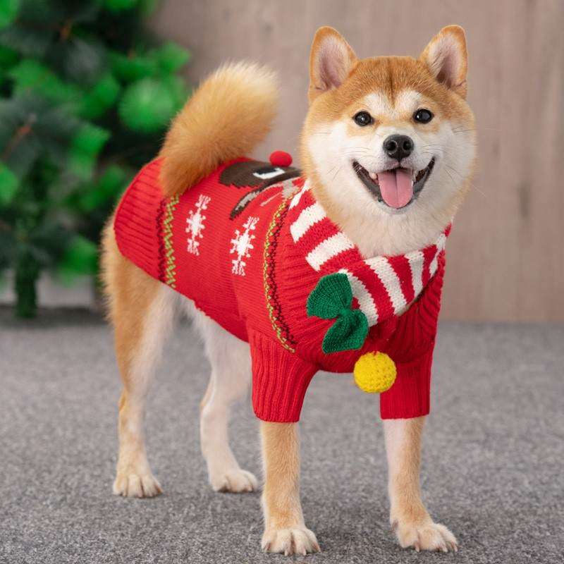 恶霸犬衣服宠物包脚雨衣狗狗2021新款网红冬20斤包肚秋冬中型犬