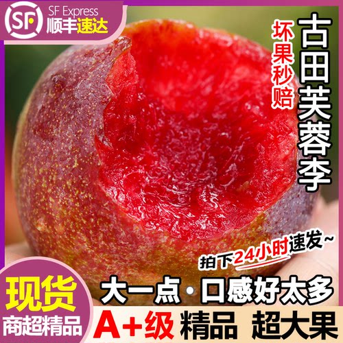 古田芙蓉李红心脱骨现摘礼盒