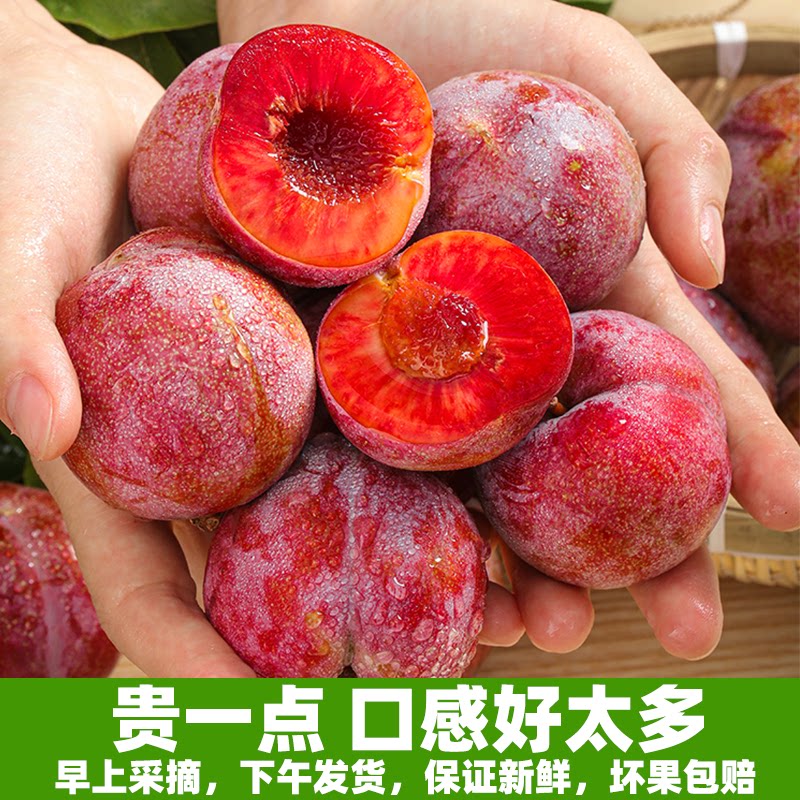 正宗古田芙蓉李红心李三华李脱骨李子当季孕妇新鲜水果现摘礼盒装