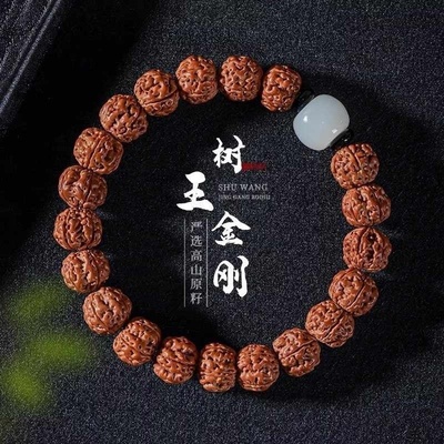 金刚菩提手串树王爆肉手串女款文玩佛珠核桃原籽男士盘玩精品手链